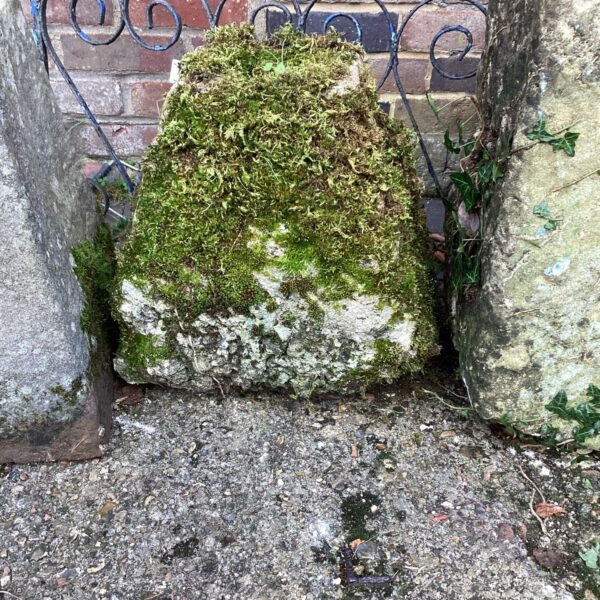 Mossy staddle stone in a garden setting.