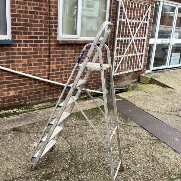 Tall aluminium step ladder leaning against a brick wall in a garden.