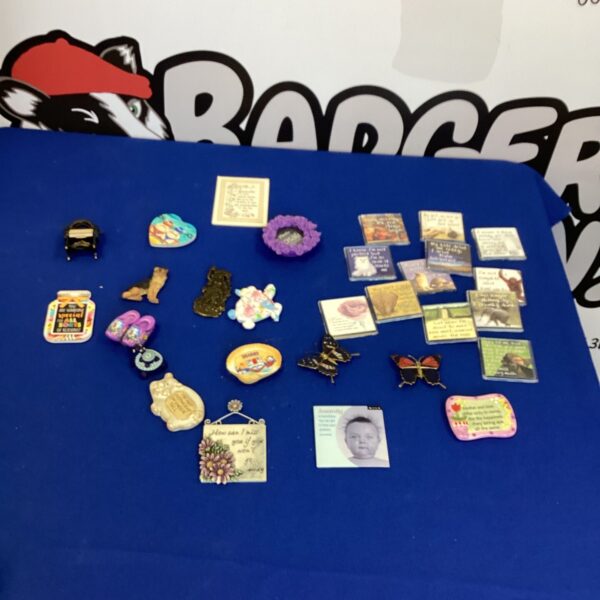 Colourful collection of fridge magnets for collectors and home decor.
