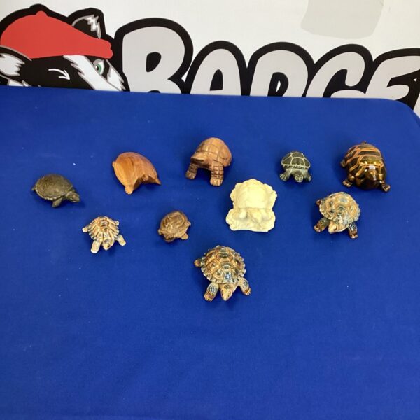 Close-up of a collection of ceramic turtle figurines.