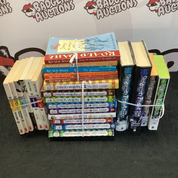Children's book lot featuring Skulduggery Pleasant and Diary of a Wimpy Kid series.