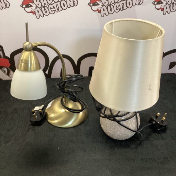 Pair of table lamps, including a flexible head lamp.