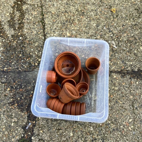 Lot of terracotta flower pots for gardening and plant displays.