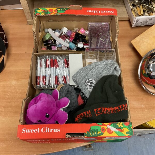 Mixed lot assortment with nail polishes, hats, and pens.