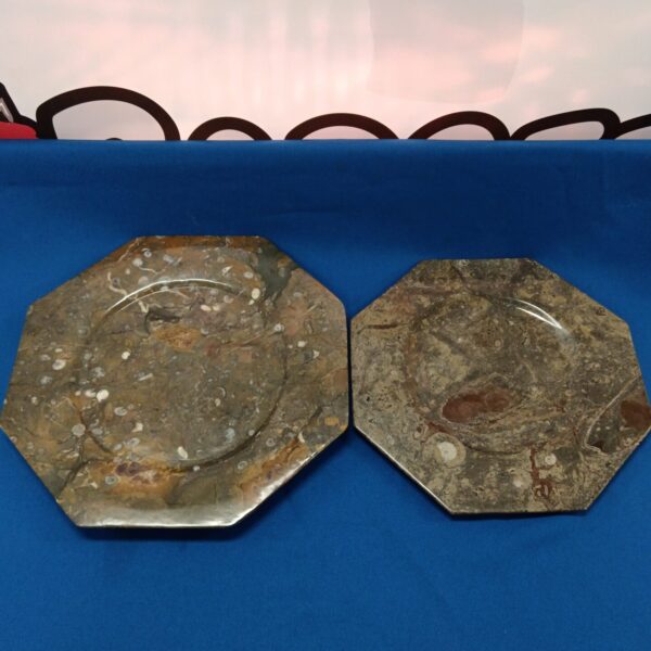 Polished granite fossil plates with visible ancient inclusions.