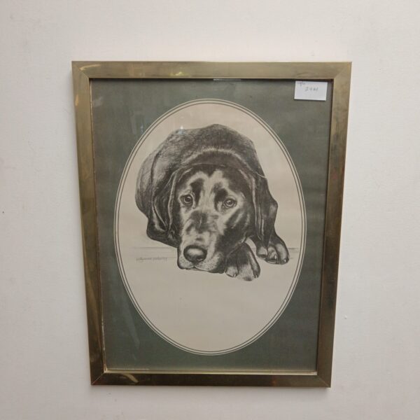 Framed Pollyanna Pickering Labrador print, beautiful dog art.