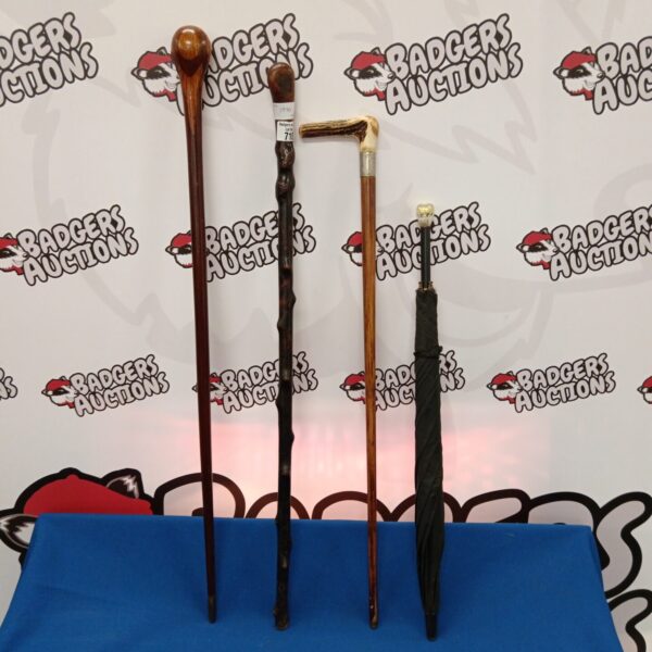 Vintage walking sticks and umbrella lot for collectors.