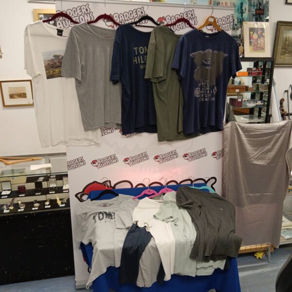 Lot of 11 mens designer t-shirts including boss & tommy