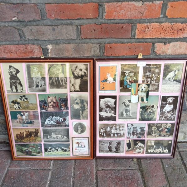 Framed vintage postcard collection featuring a variety of dog breeds.