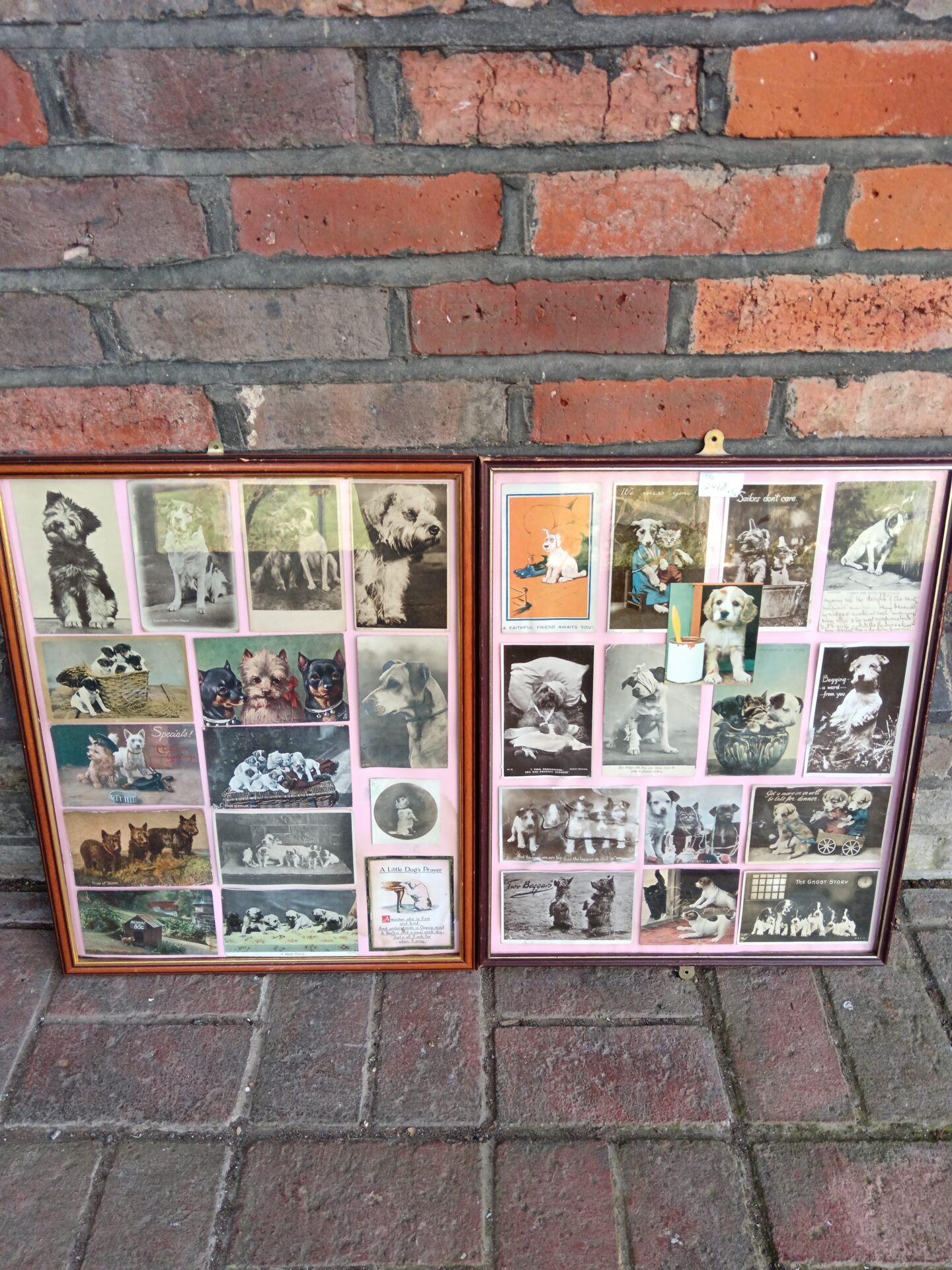 692 Collection of vintage framed postcards of dogs