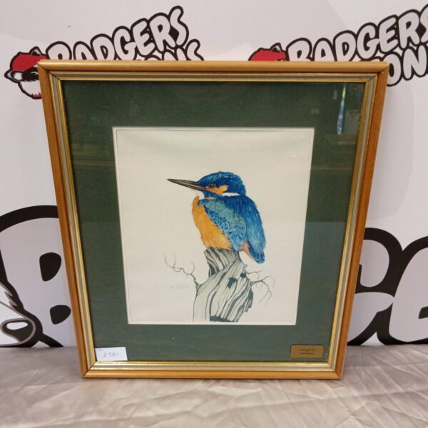 Vibrant watercolour painting of a kingfisher by Chris Meadows.