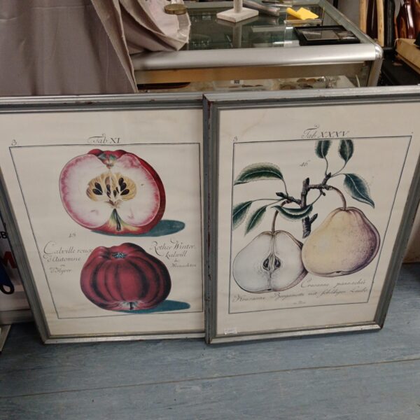 Pair of vintage fruit prints with detailed botanical illustrations.