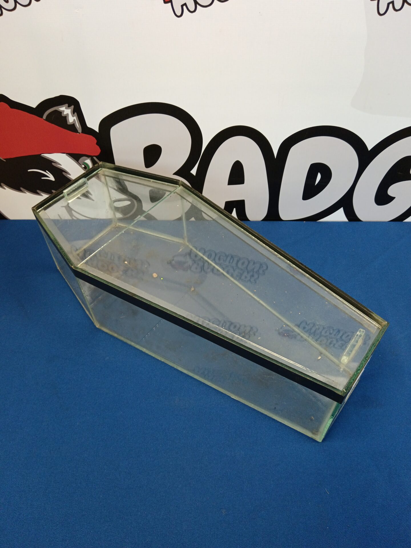 027 Glass coffin 18″ x 8″ X6″