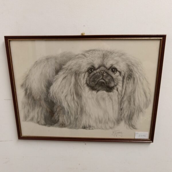 Vintage M J Sibley print of a fluffy Pekingese dog.
