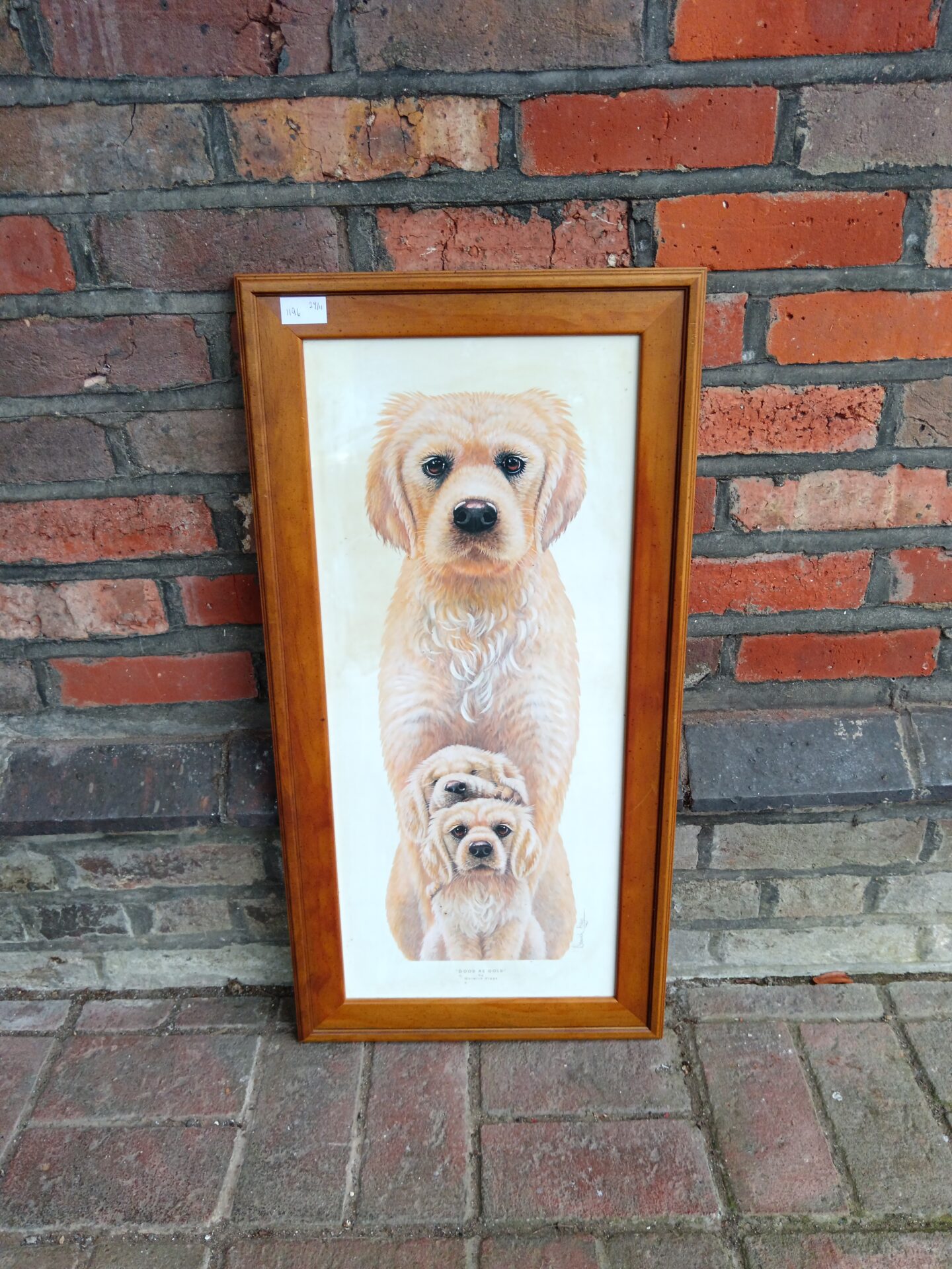 697 Warwick higgs print of golden retrievers titled good as gold