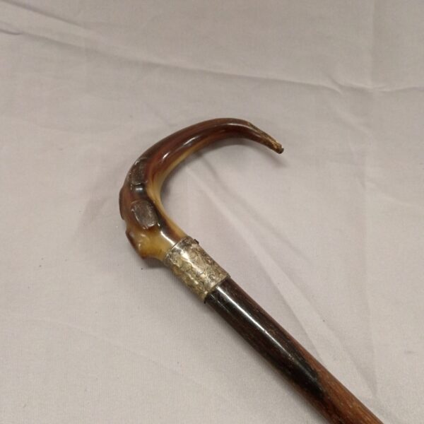 Antique walking stick with a natural horn handle and silver cuff.