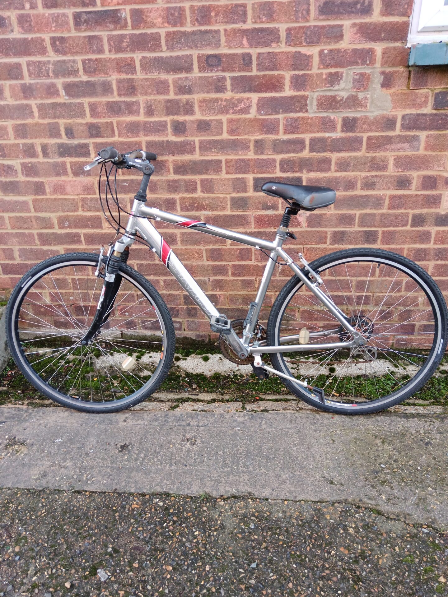 1118 Saracen hyroad mountain bike