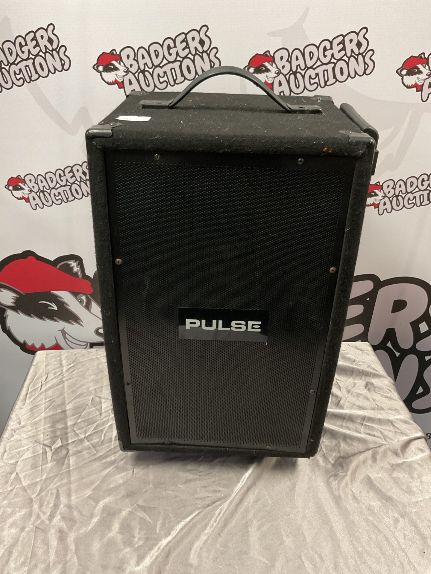 195 Pulse portable PA sound system