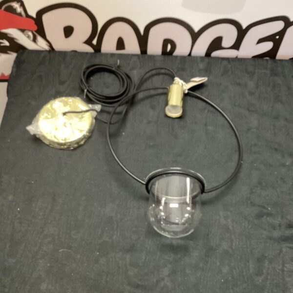 Bloomingville ceiling light with black cord and clear glass globe.