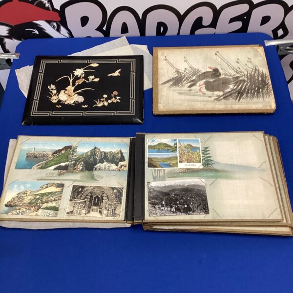Vintage lacquered postcard album with detailed cover design.