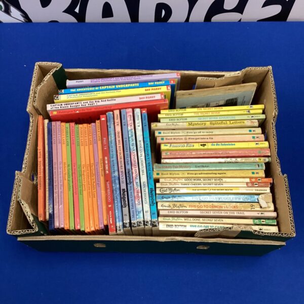 Vintage childrens book collection featuring Enid Blyton and Goosebumps titles.