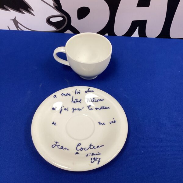 Vintage Villeroy and Boch cup and saucer with floral pattern.