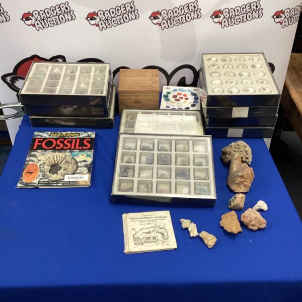 Fossil and crystal collection with books for geology enthusiasts.