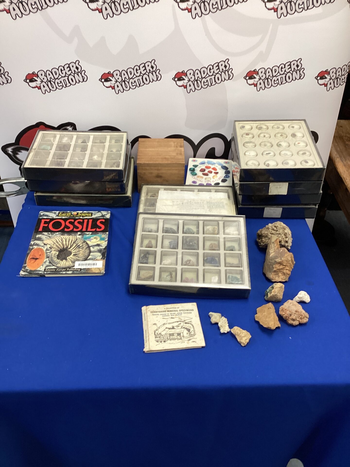 584 Quantity of Treasures of the earth stones collection with books on fossils & crystals