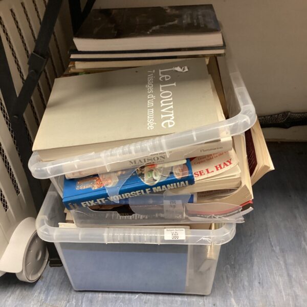 Mixed lot of vintage French art and architecture books.