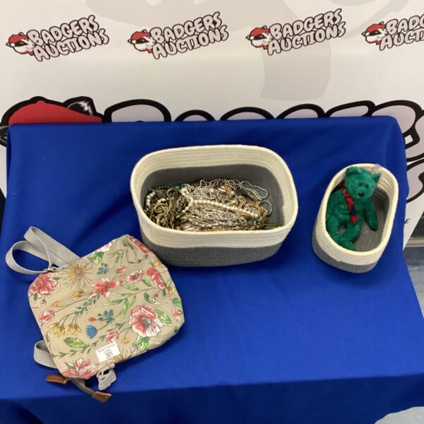 Costume jewellery lot with teddy bear and wash bag.