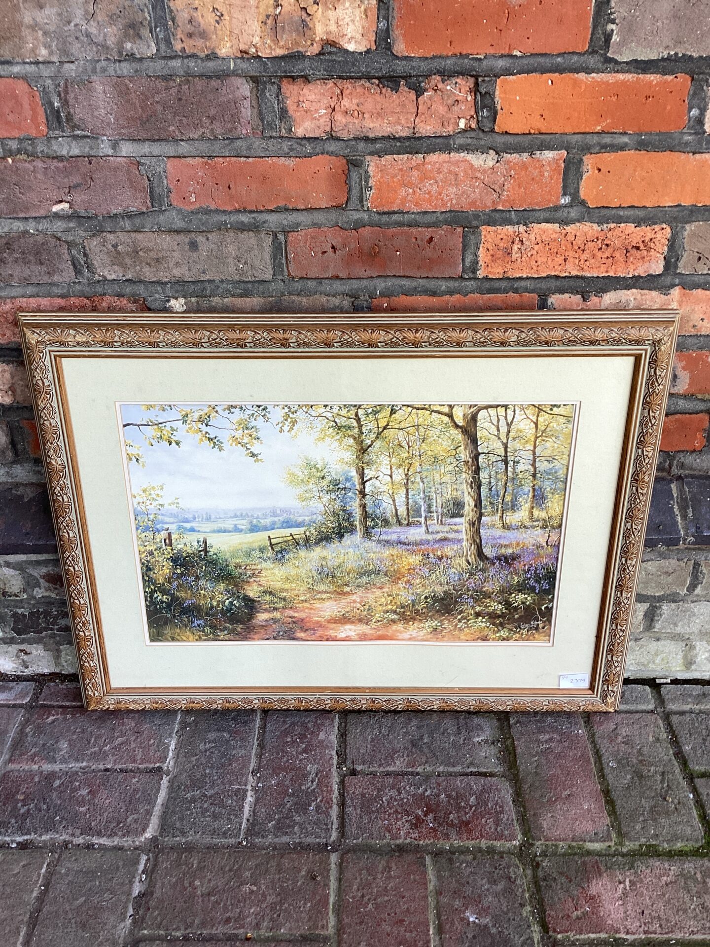 673 Colin vokes print of a summer woodland scene