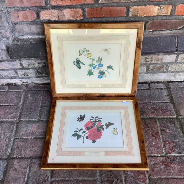 Pair of framed Reeves Collection butterfly and flower prints for wall decor.