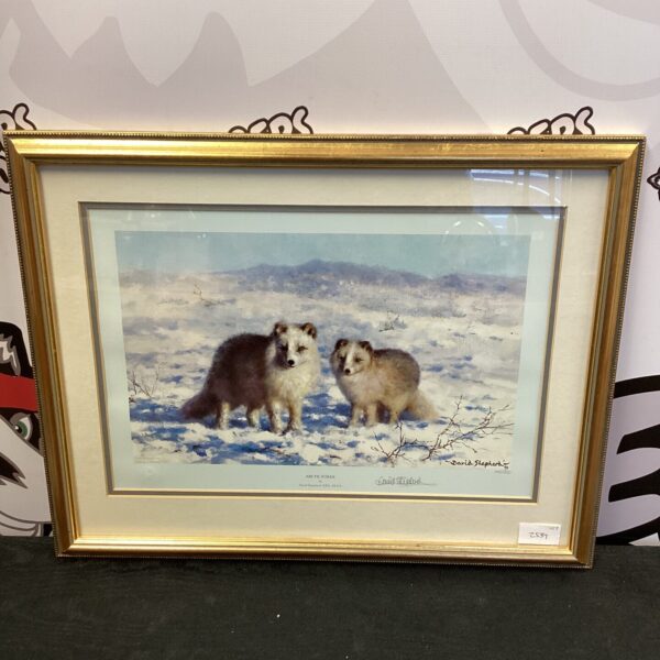 Limited edition David Shepherd print of arctic foxes in snow.