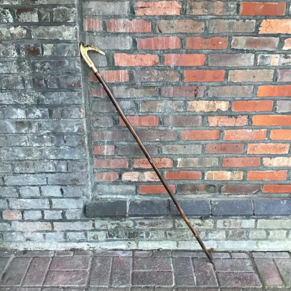 Antique shepherd's crook with a natural horn handle.