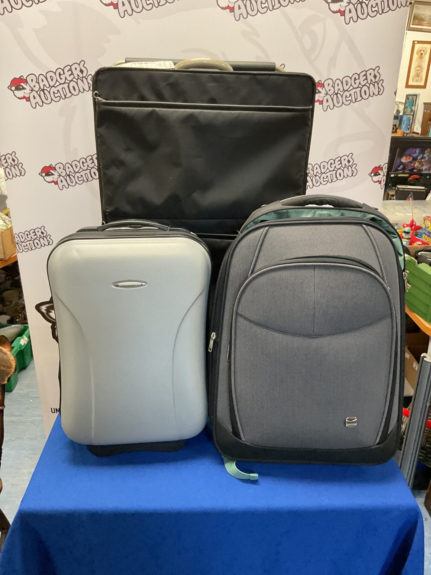 494 Three large luggage bags