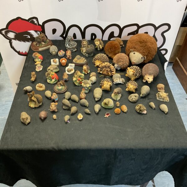 Diverse collection of ceramic hedgehog ornaments and figurines.