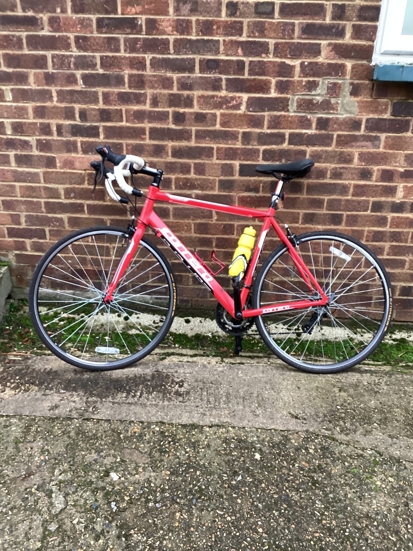 1190 Carrera Zelos Racing Bike