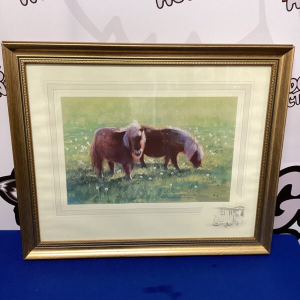 Framed print of two Shetland ponies in a field.