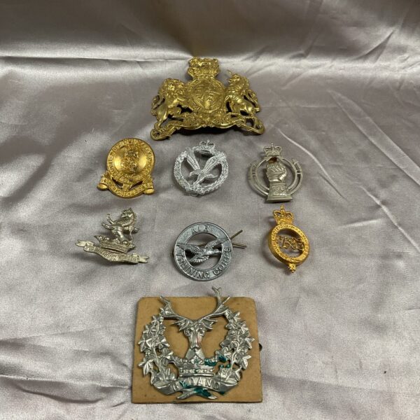 Collection of vintage British Army cap badges for collectors.