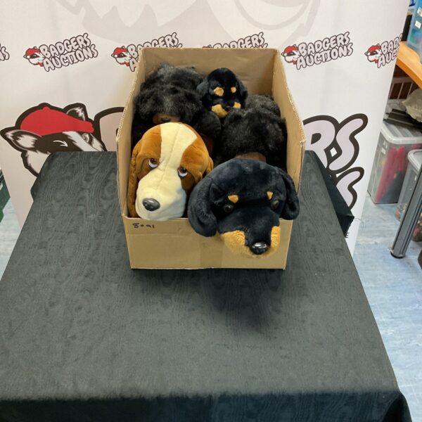 A box of assorted soft dog toys, including plush golden retrievers and Dalmatians.