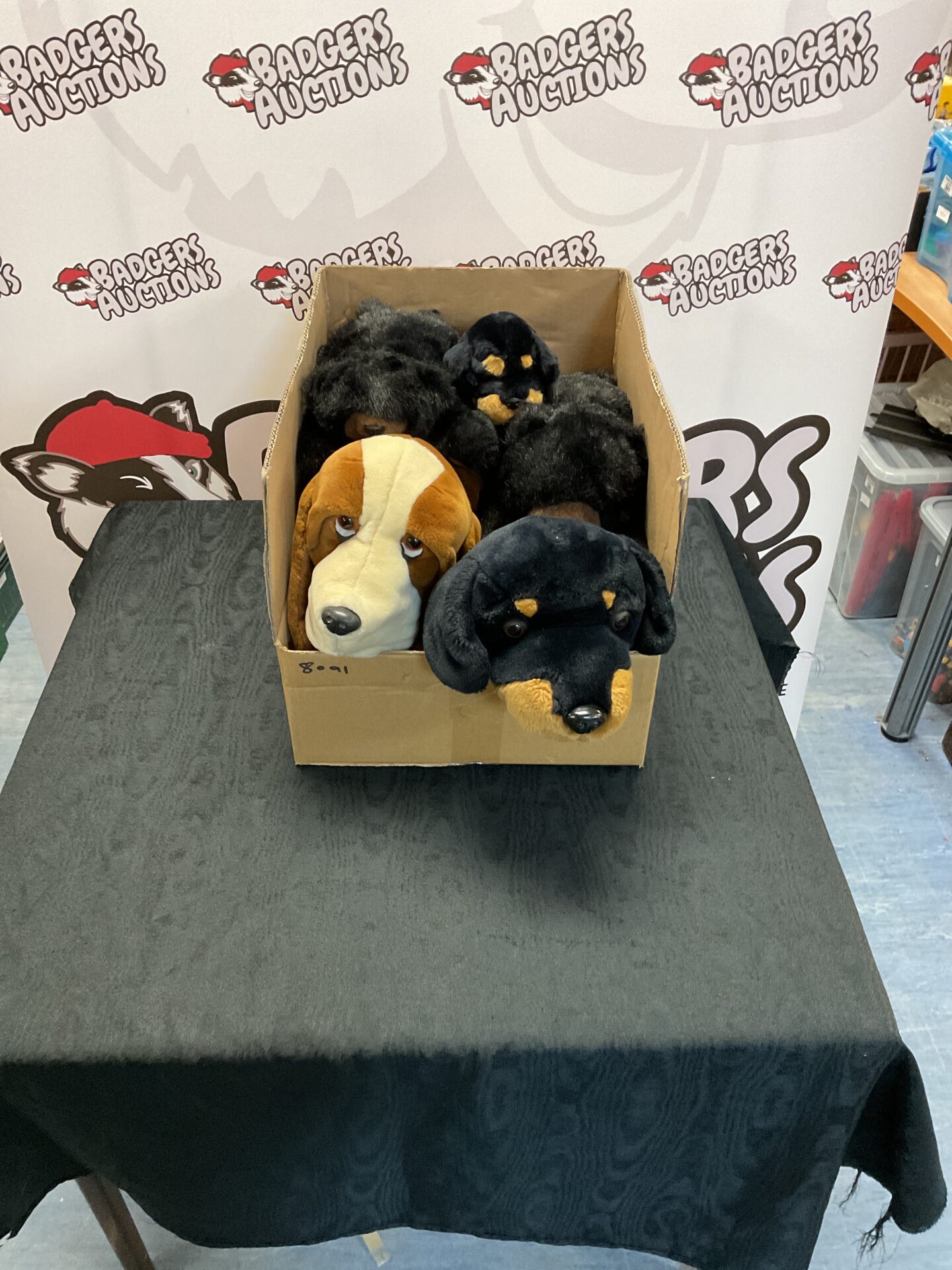 379 Box if soft dog toys