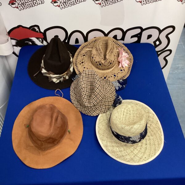 Group of five hats including leather and suede outback hat.