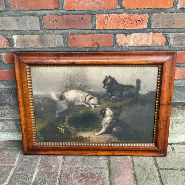 19th-century George Amfield etching of terriers in a maple frame.