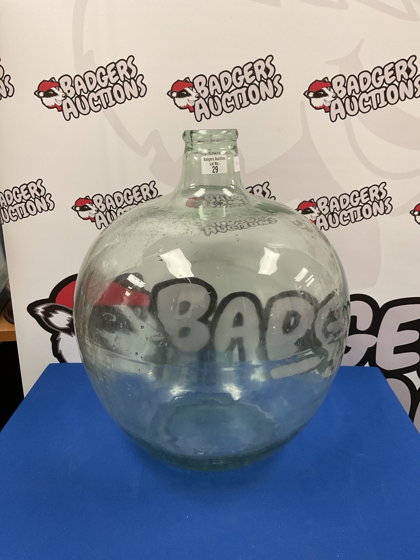 029 Large glass carboy vivarium