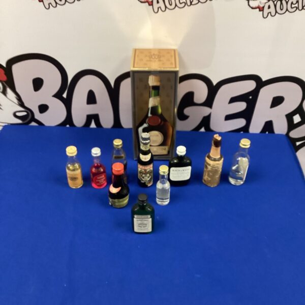 Collection of miniature spirit bottles and Benedictine liqueur.
