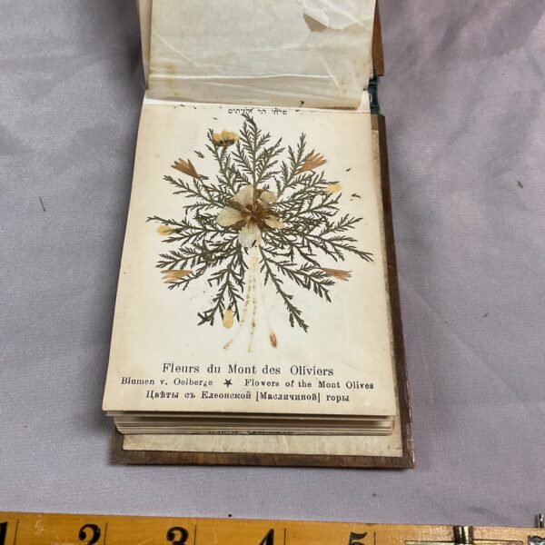 Book of pressed flowers from the holy land Jerusalem