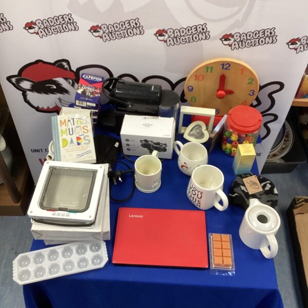 Mixed lot featuring a Lenovo laptop and assorted collectibles.