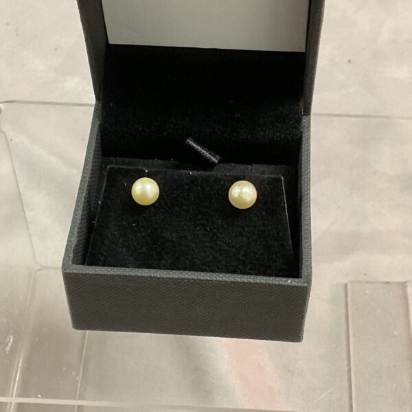 Close-up of pearl stud earrings in a presentation box.