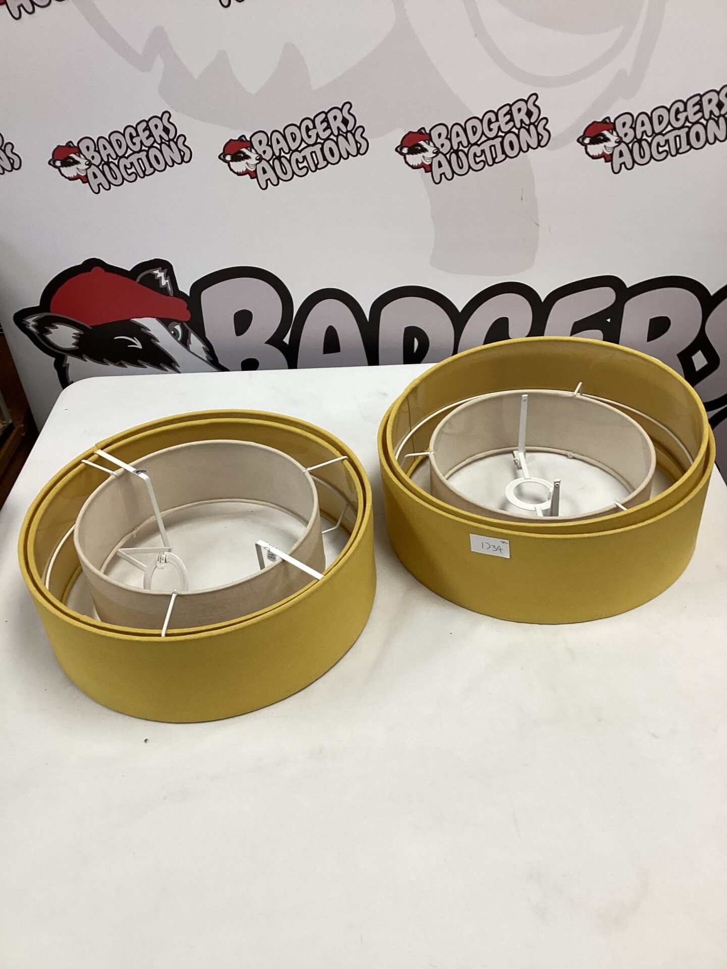 436 Two lamp/ceiling light shades