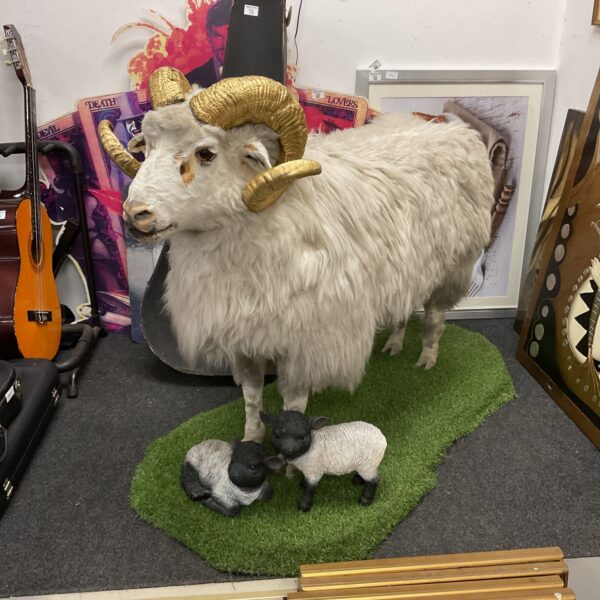 Taxidermy ram with striking golden horns on display.